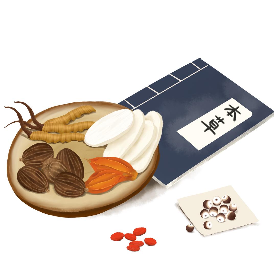 养生好物小宝