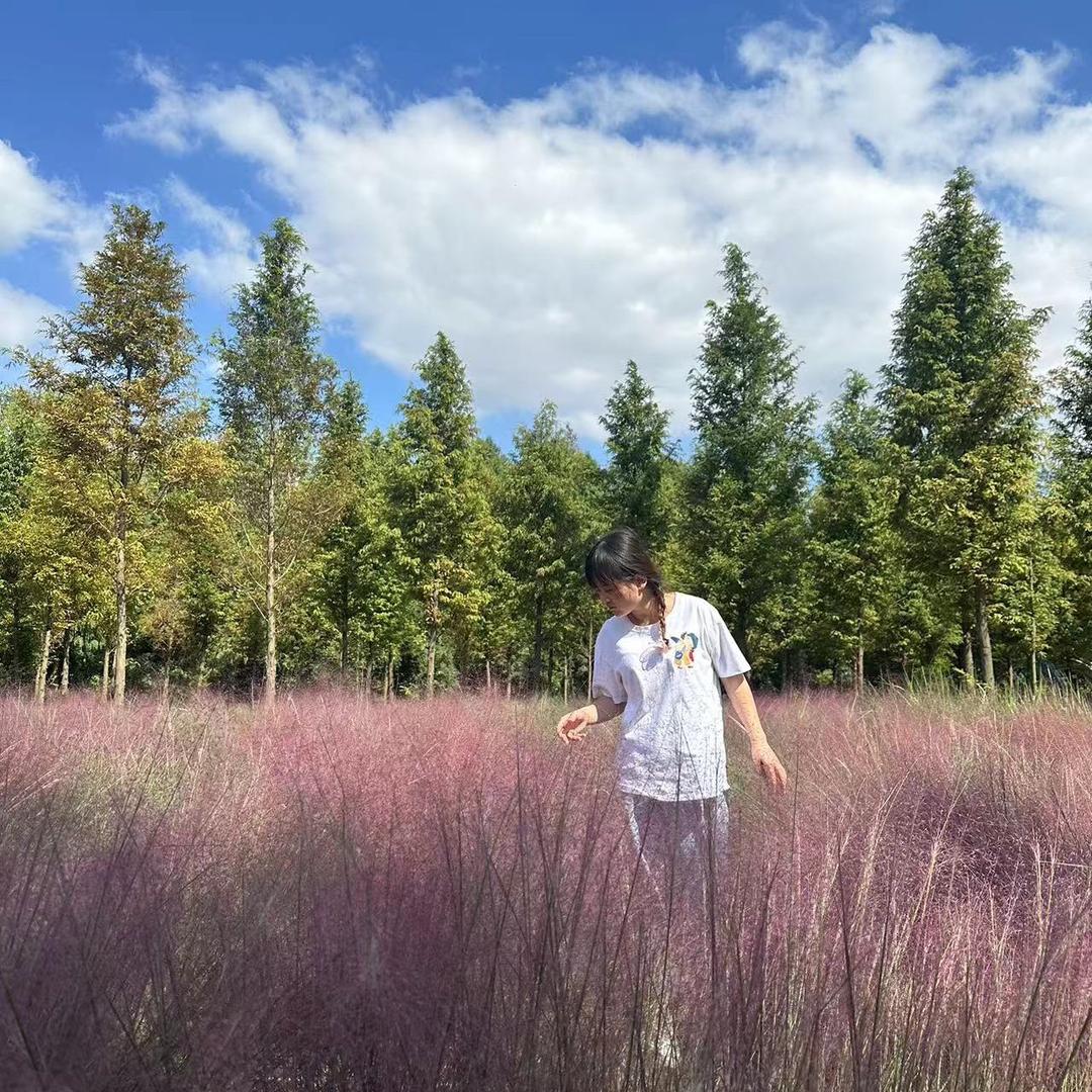 🌸儿对你笑🥰