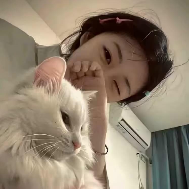 大漂亮💢