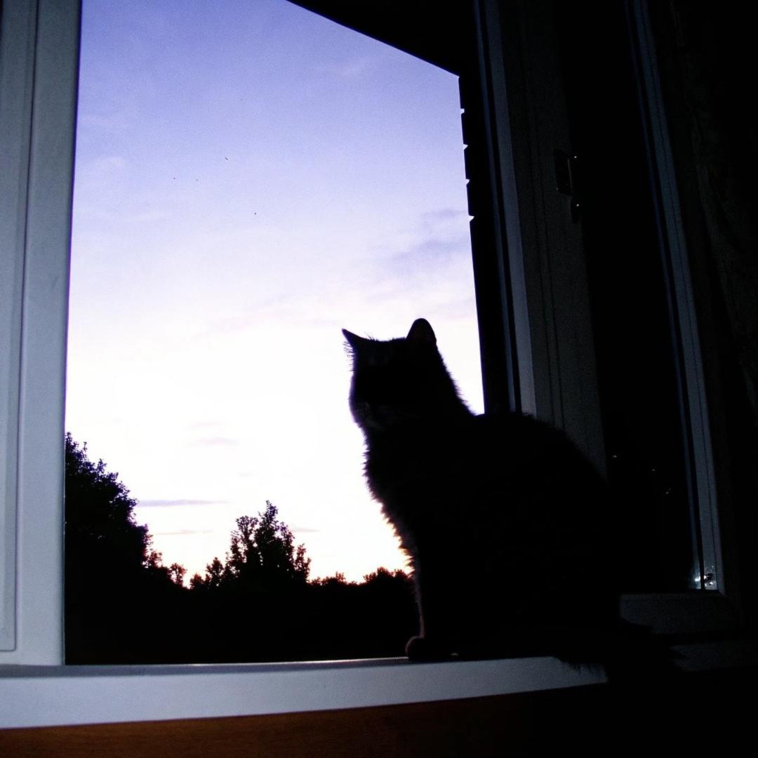 无敌捏捏大王🐱