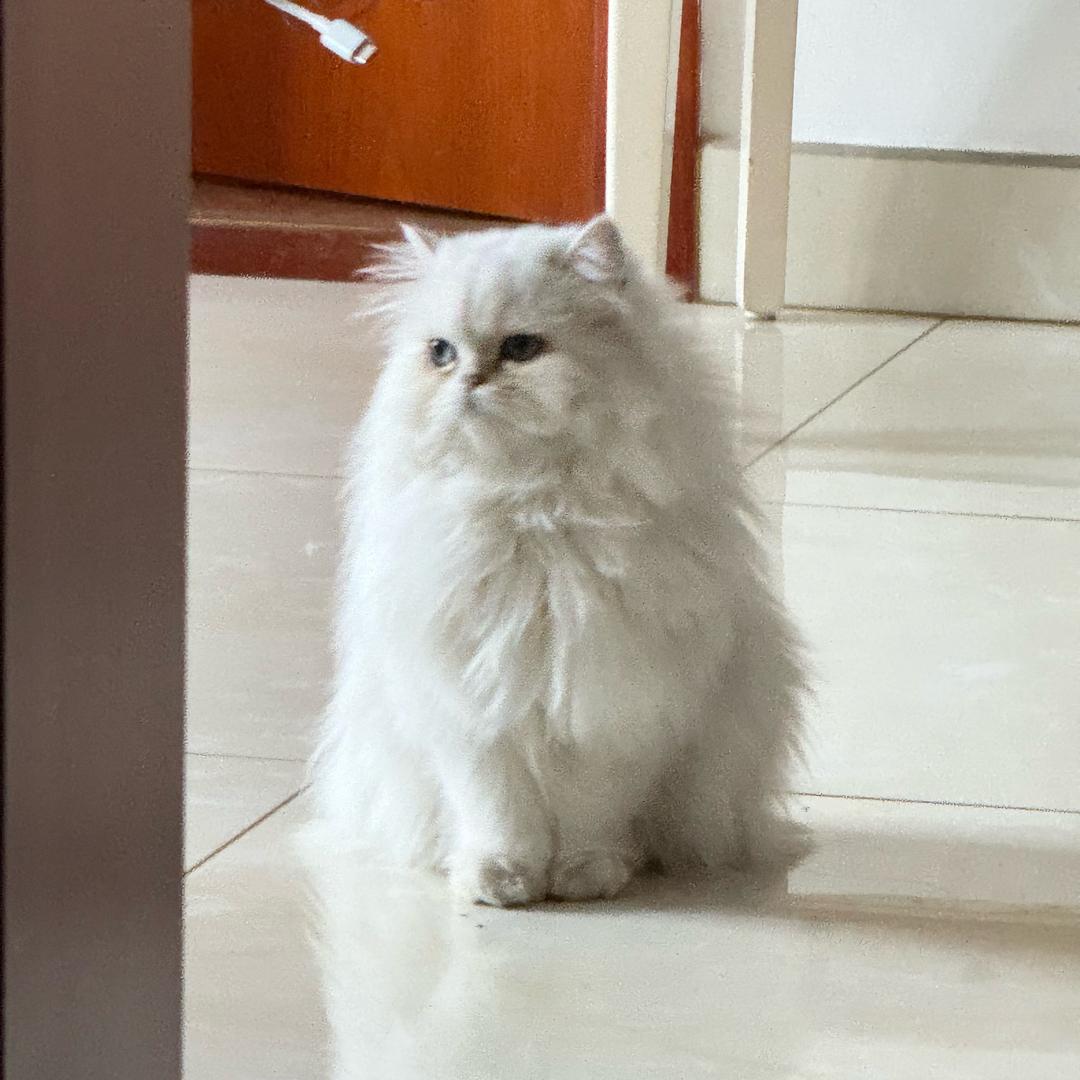 RRr