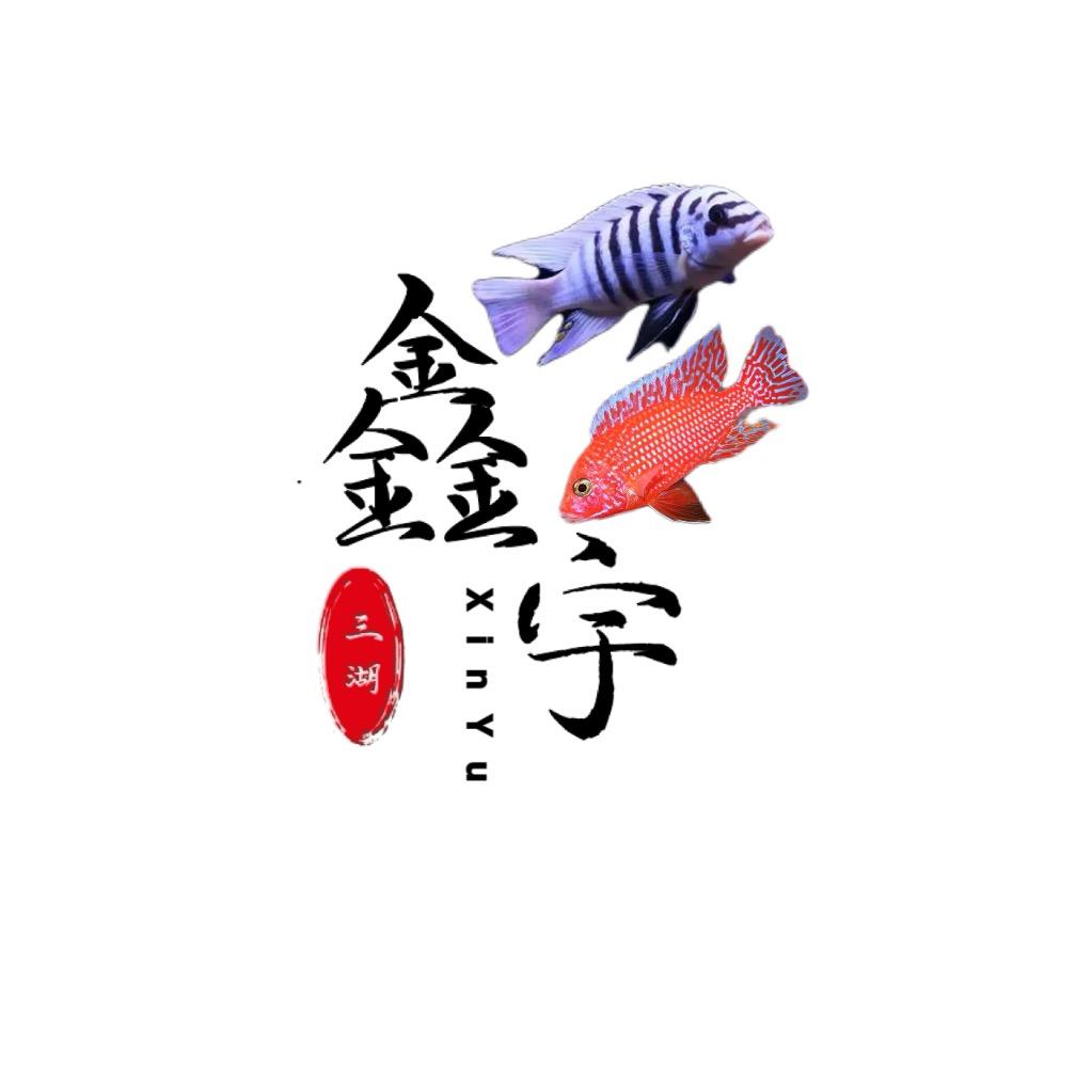 鑫宇三湖慈鲷渔场