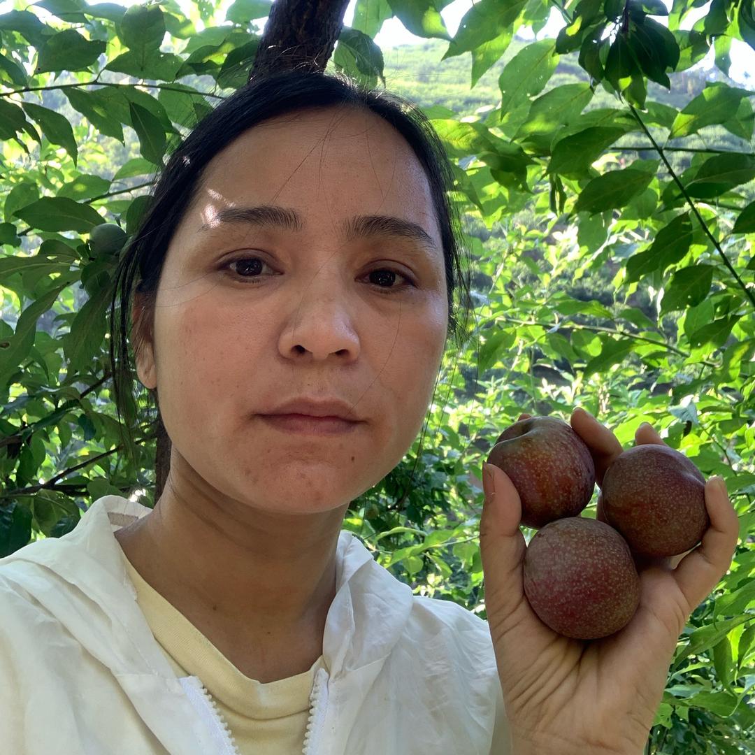 @钱排小林鲜果店