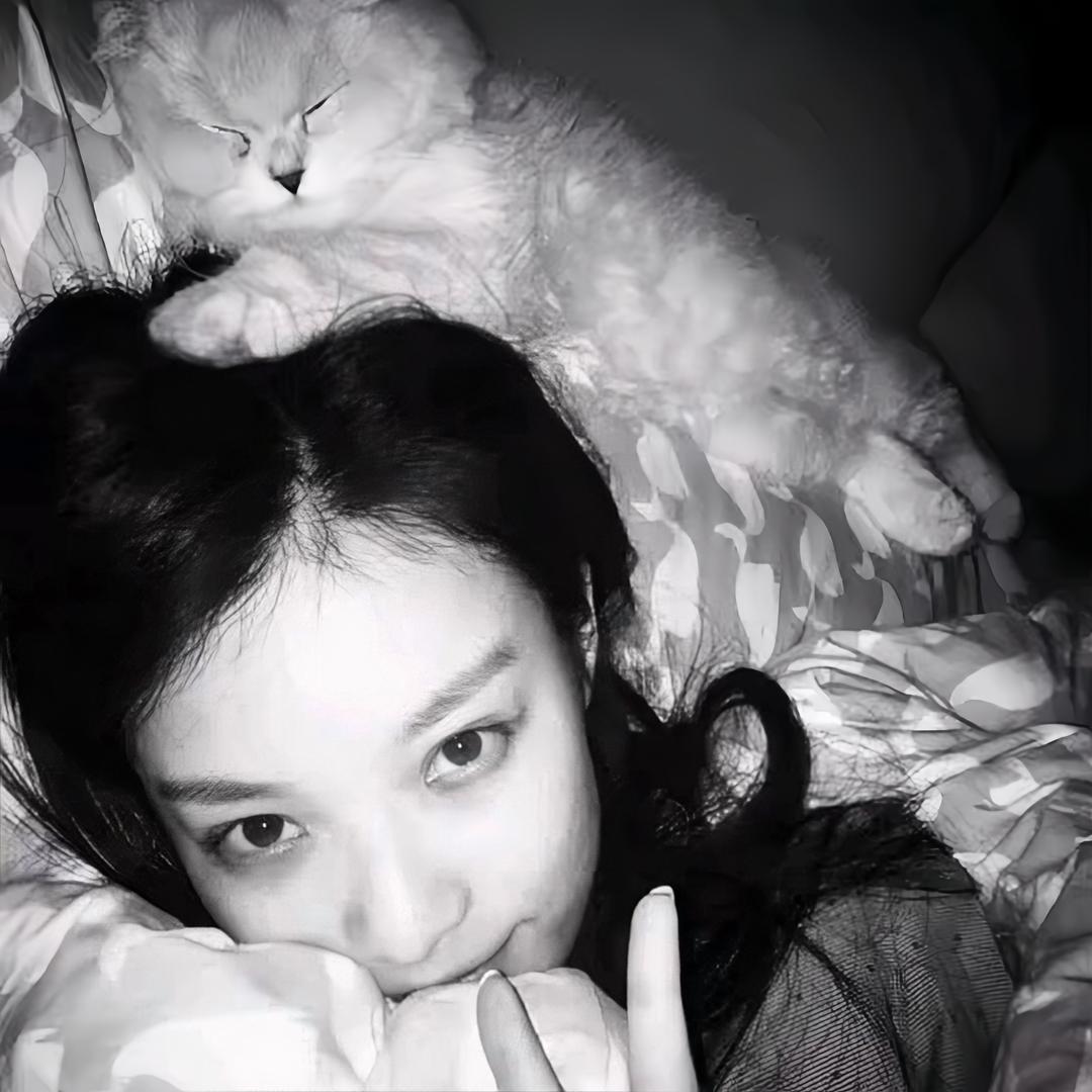 圈圈