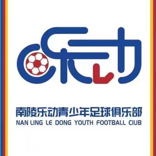 南陵乐动青少年足球