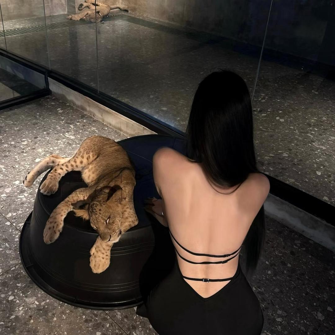 ㅤ     ㅤ