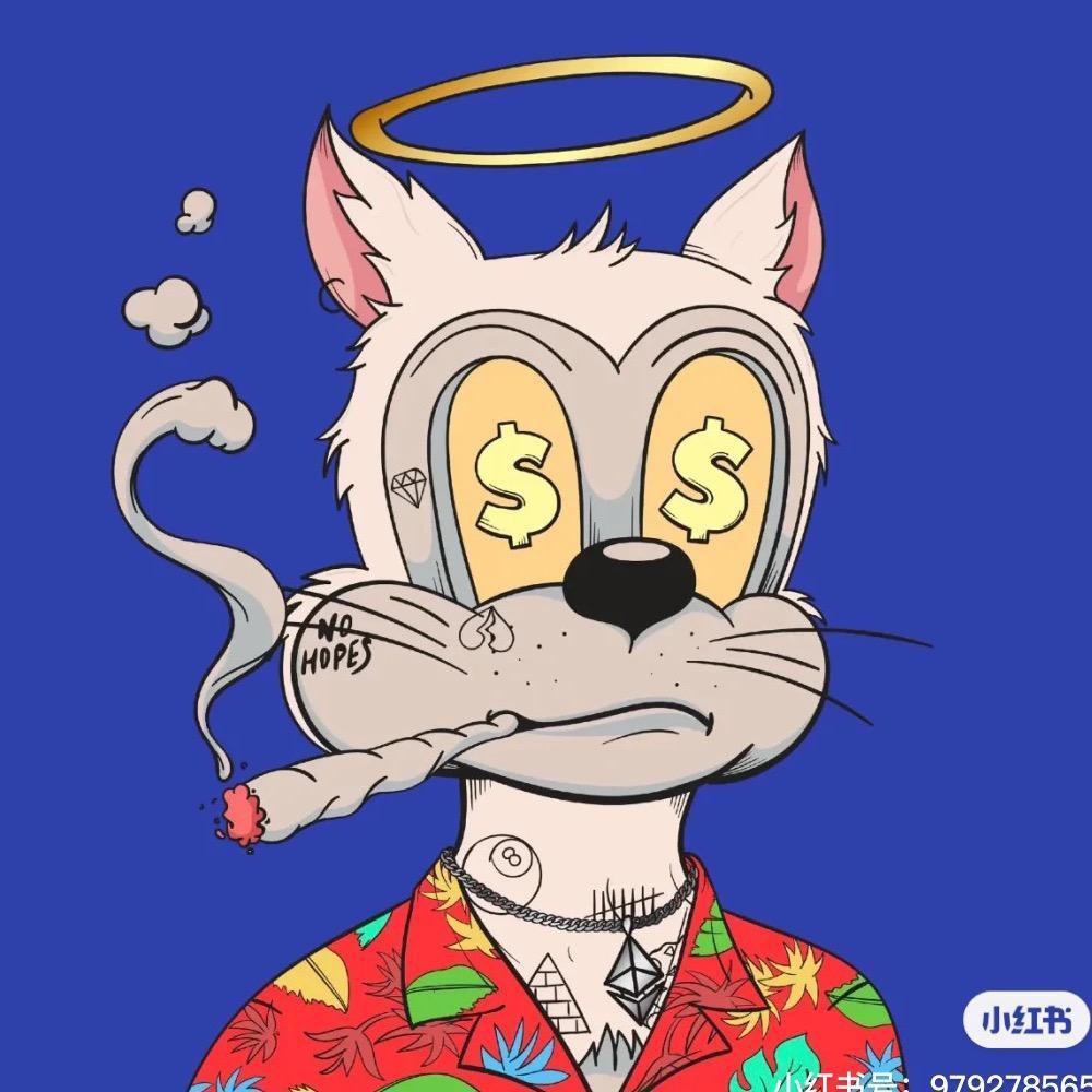 盘州大boss
