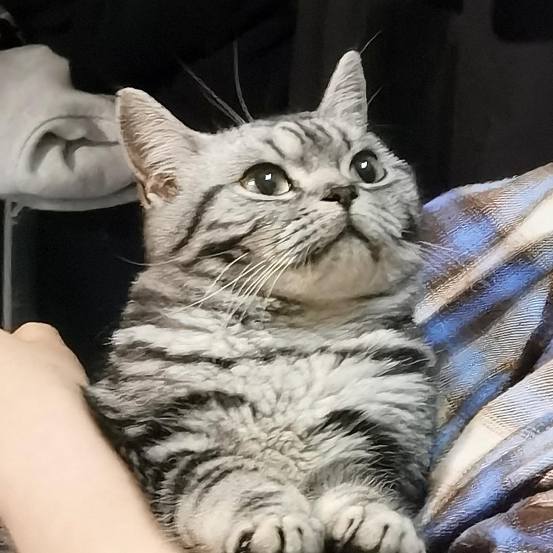 啃啃蓝莓w@抖音