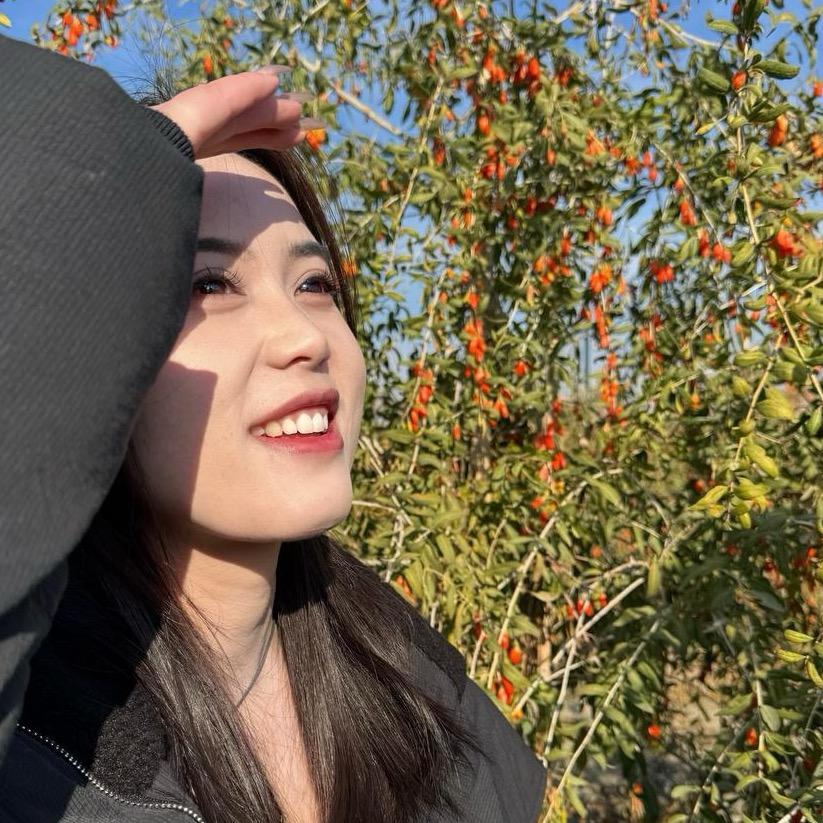 赛里红枸杞酒（倩妹儿）