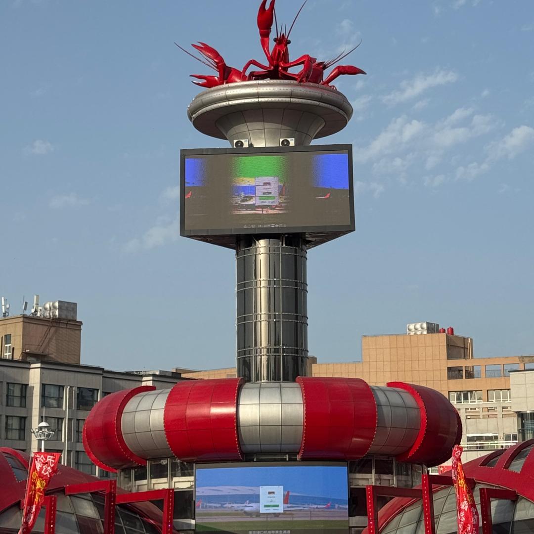 梧桐栖息