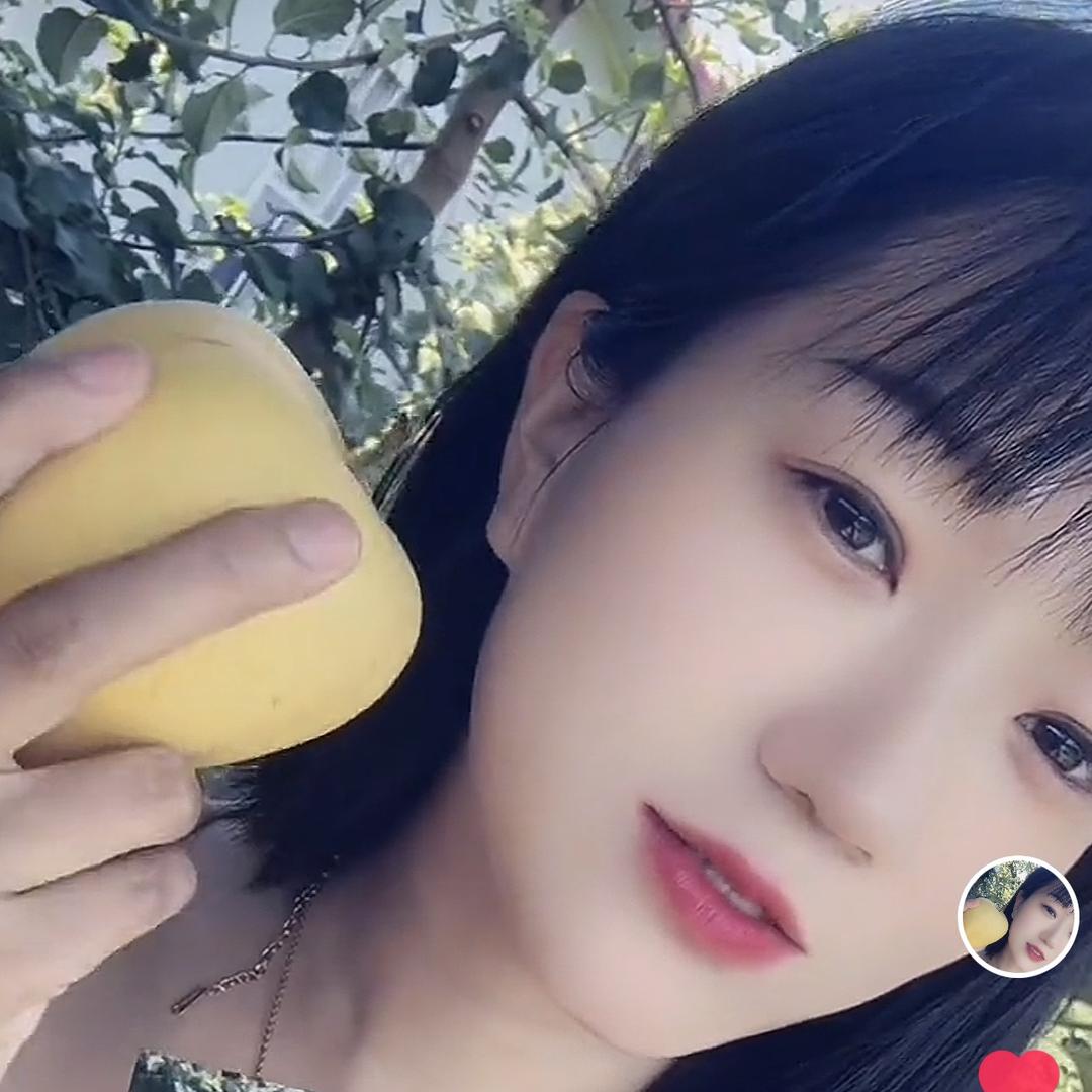 玲儿苹果采摘园