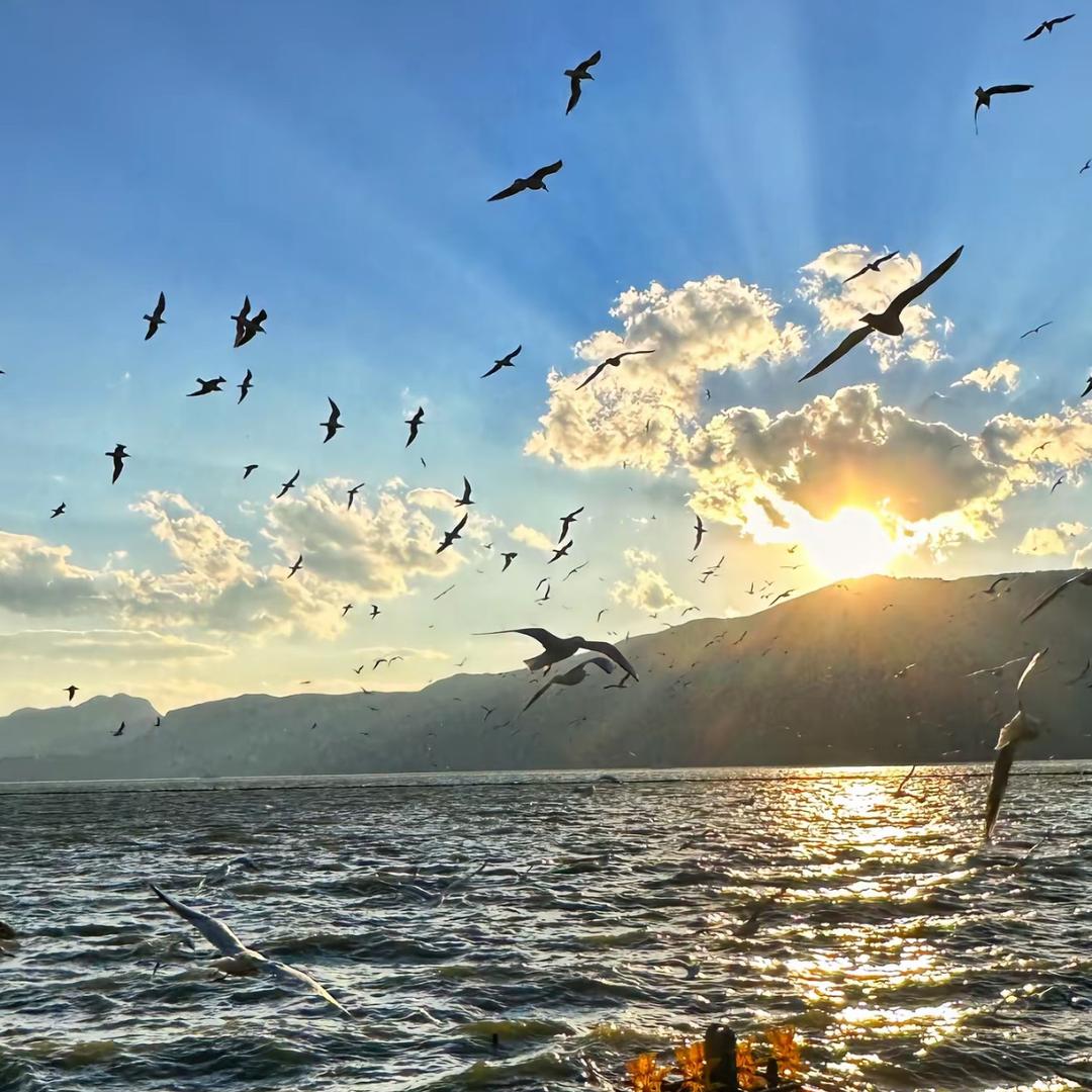 一米阳光·安翰吉