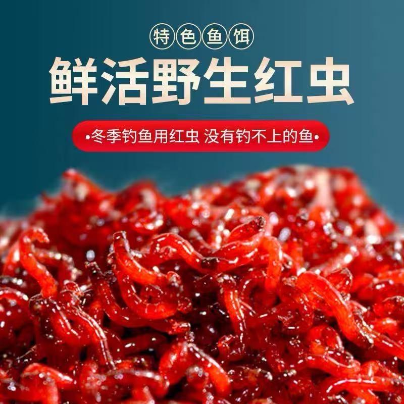 不会钓鱼的拿铁