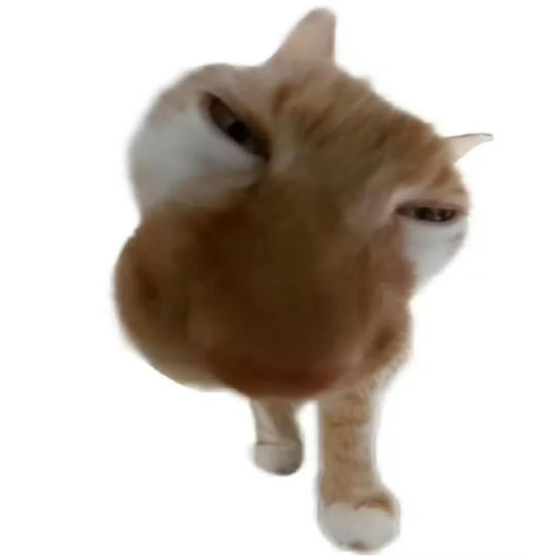 坡忒tou
