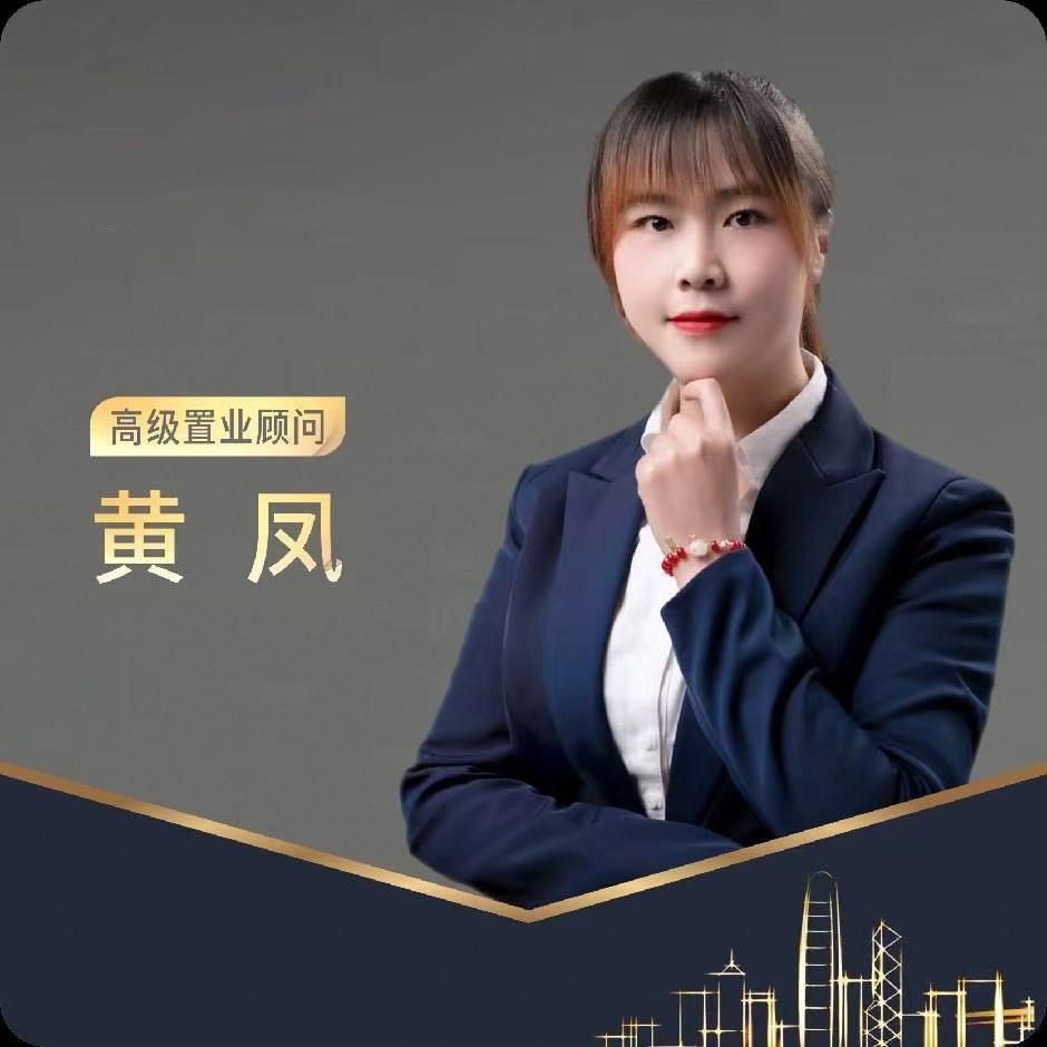 修文公园天街黄凤