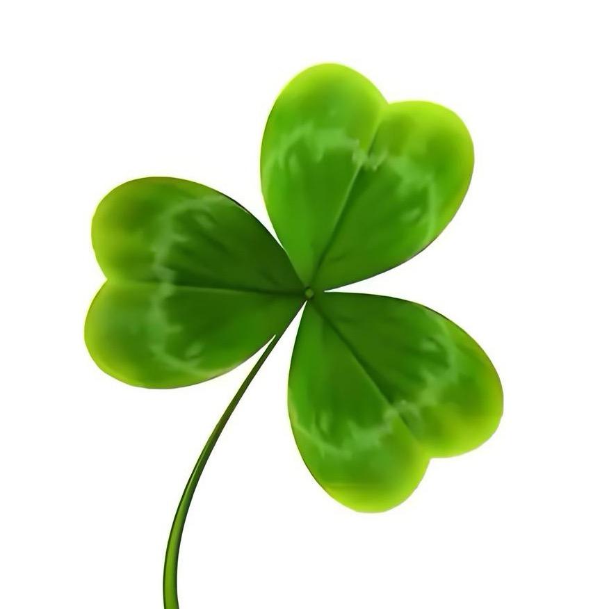 ☘️佳、