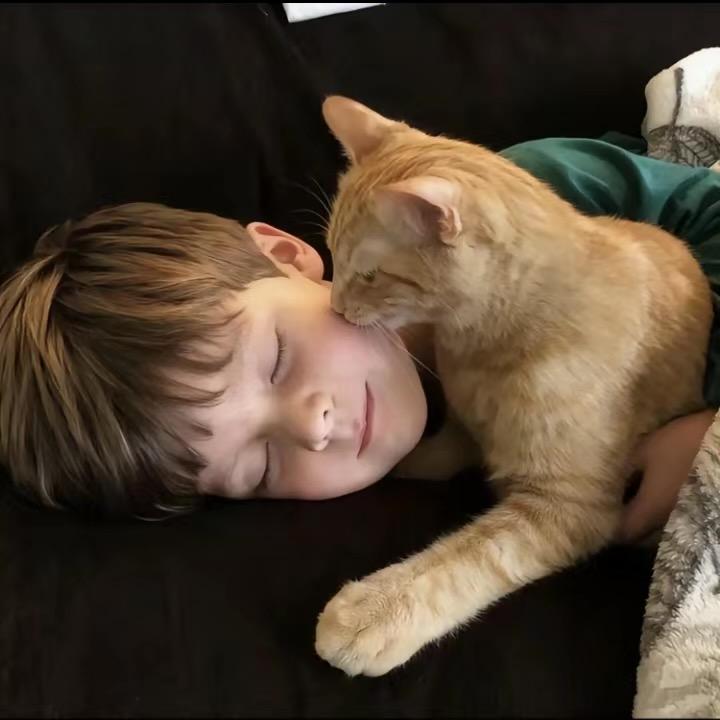 十九（学习版）