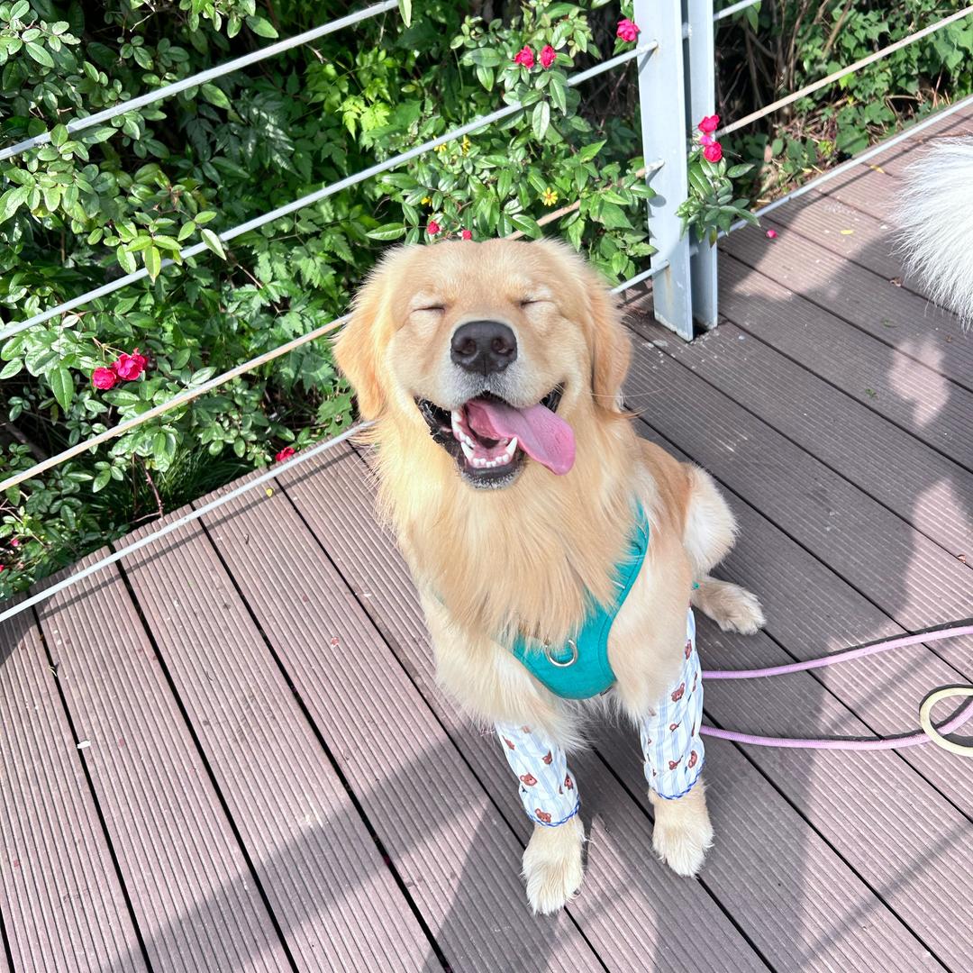 33栗子的朋友圈919