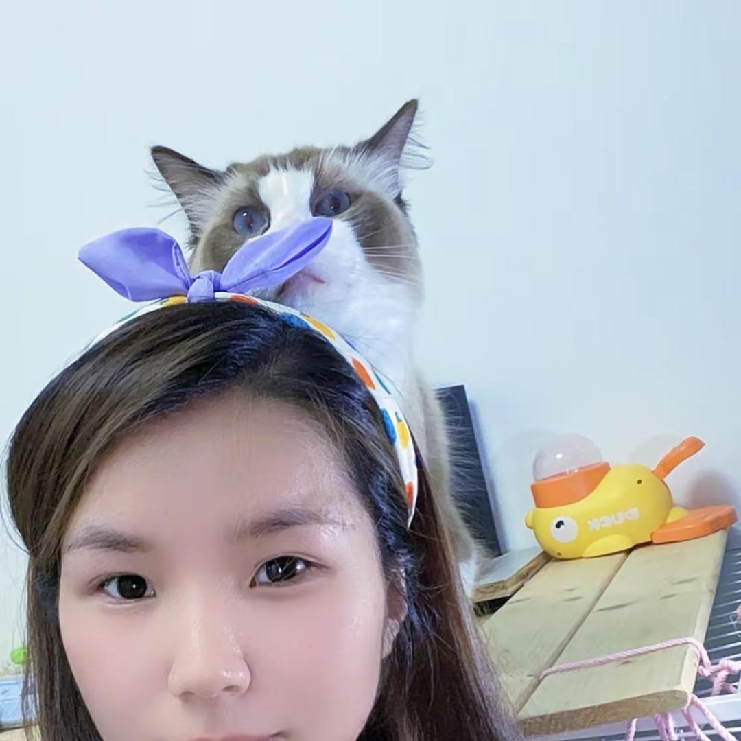 蛋 卷 🐈