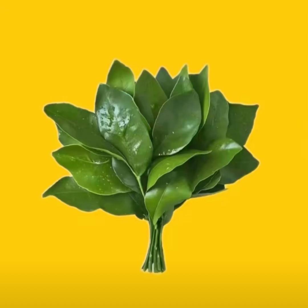 沃德发