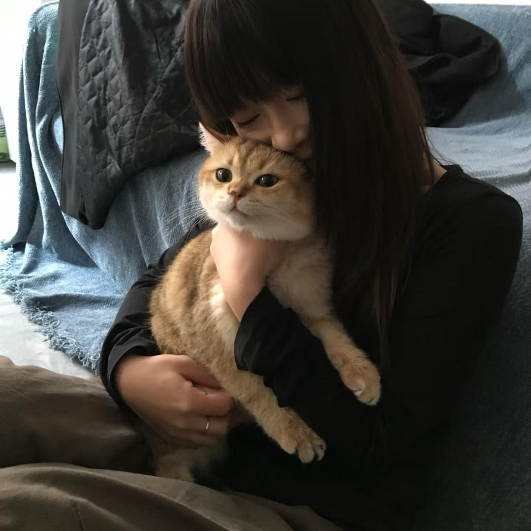 咻猫丶