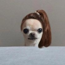 香香