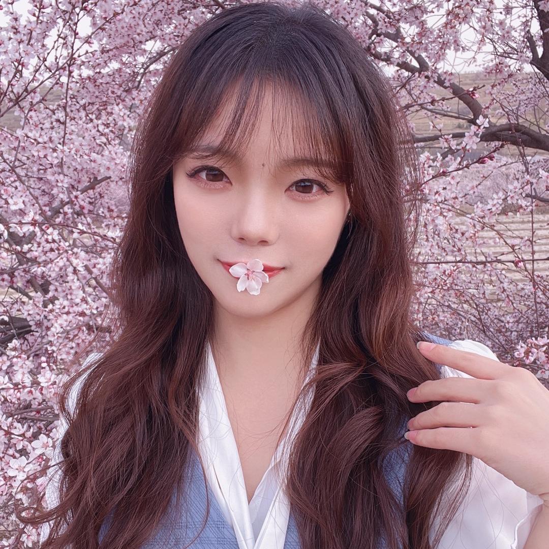 仙女苏