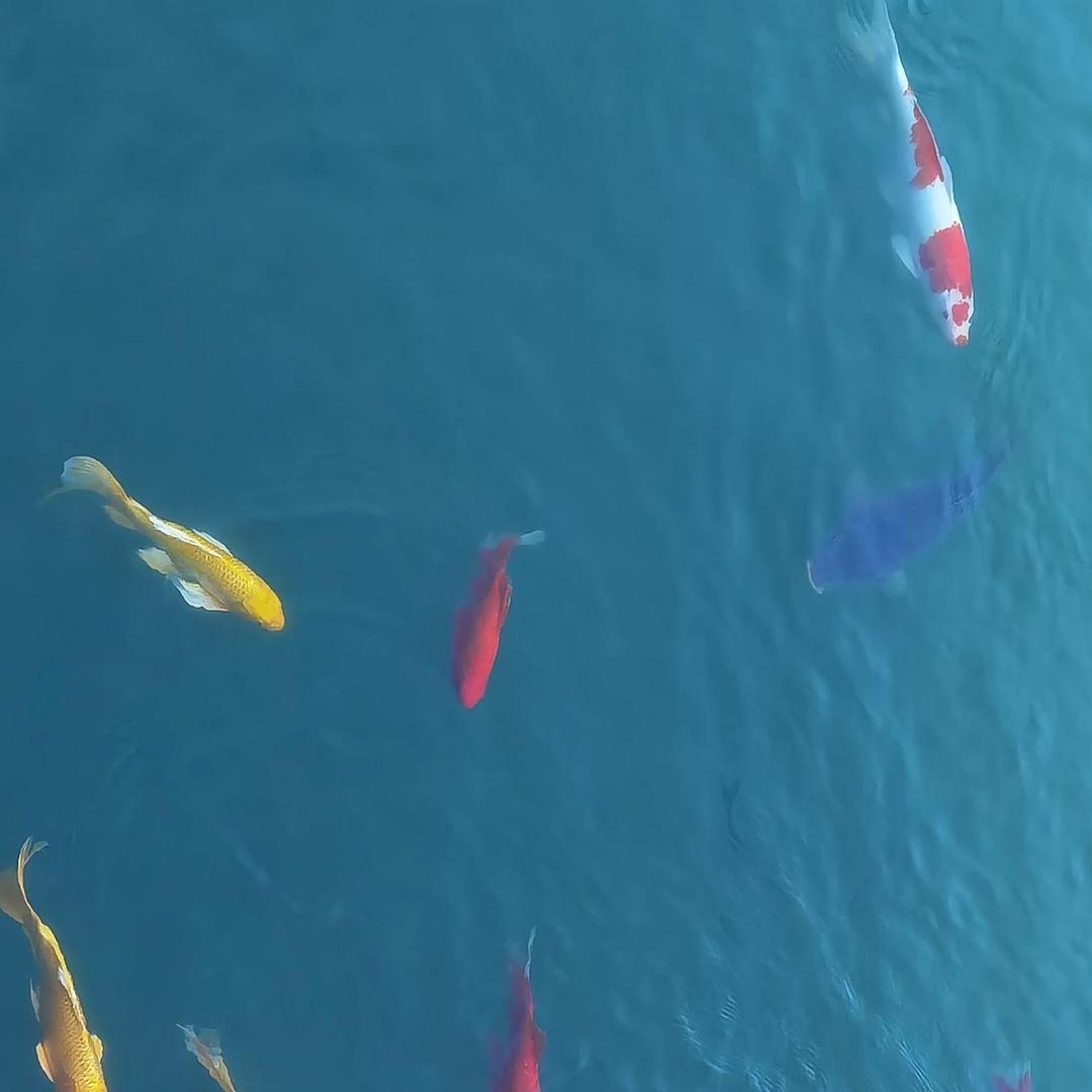 柚小瑜护理专家