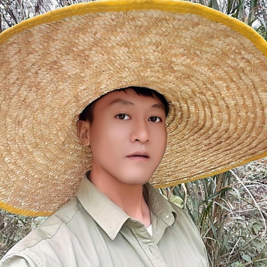 东北丁在版纳
