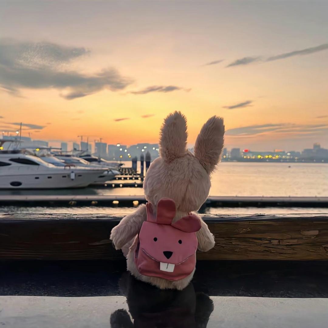 骑驴驴.（哈亚雪旅行）