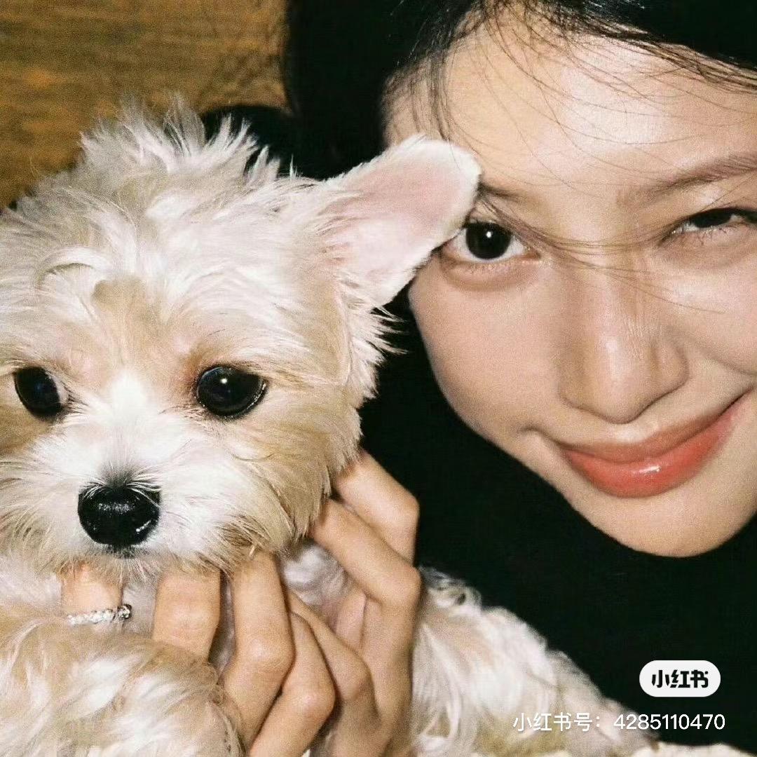 减肥中（瘦到110）