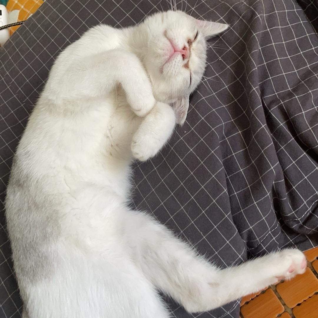 正在暴富中……