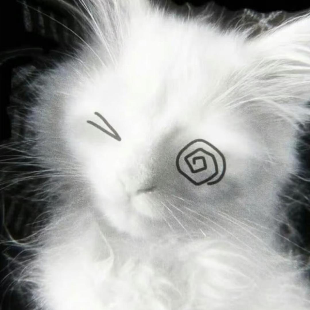 果冻（求推荐）