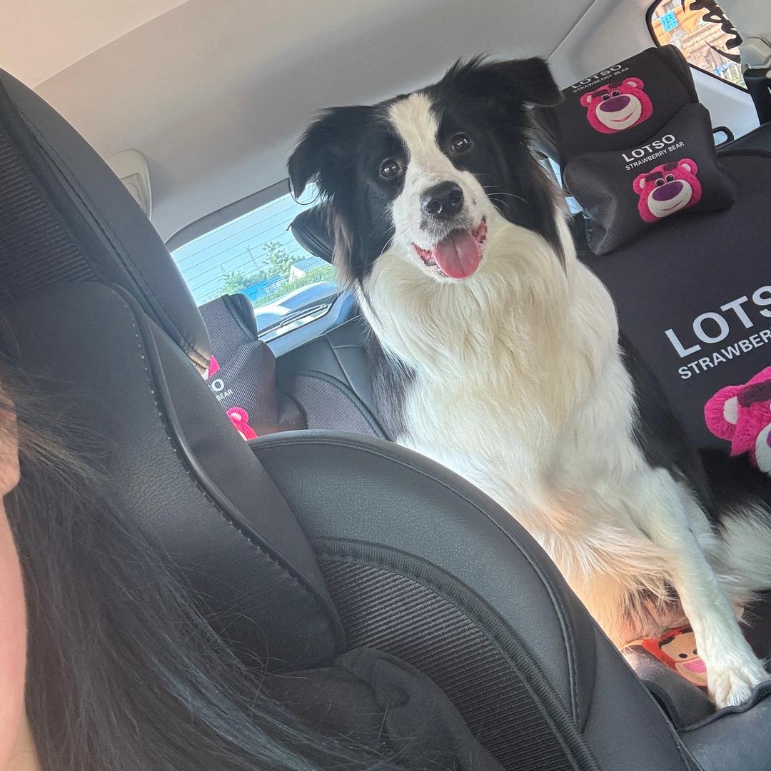 优优的优是优秀的优