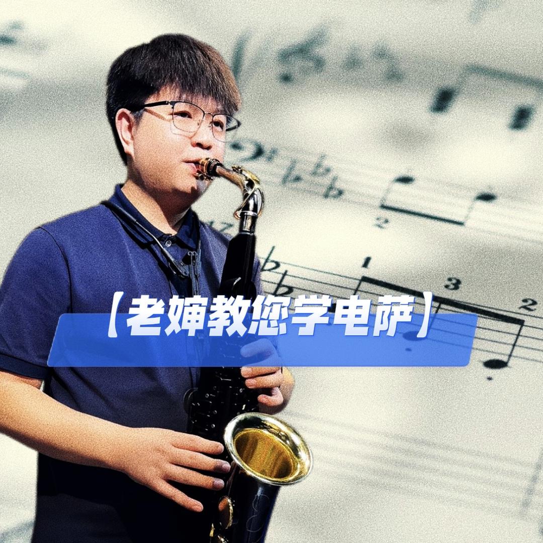 老婶电子萨克斯🎷