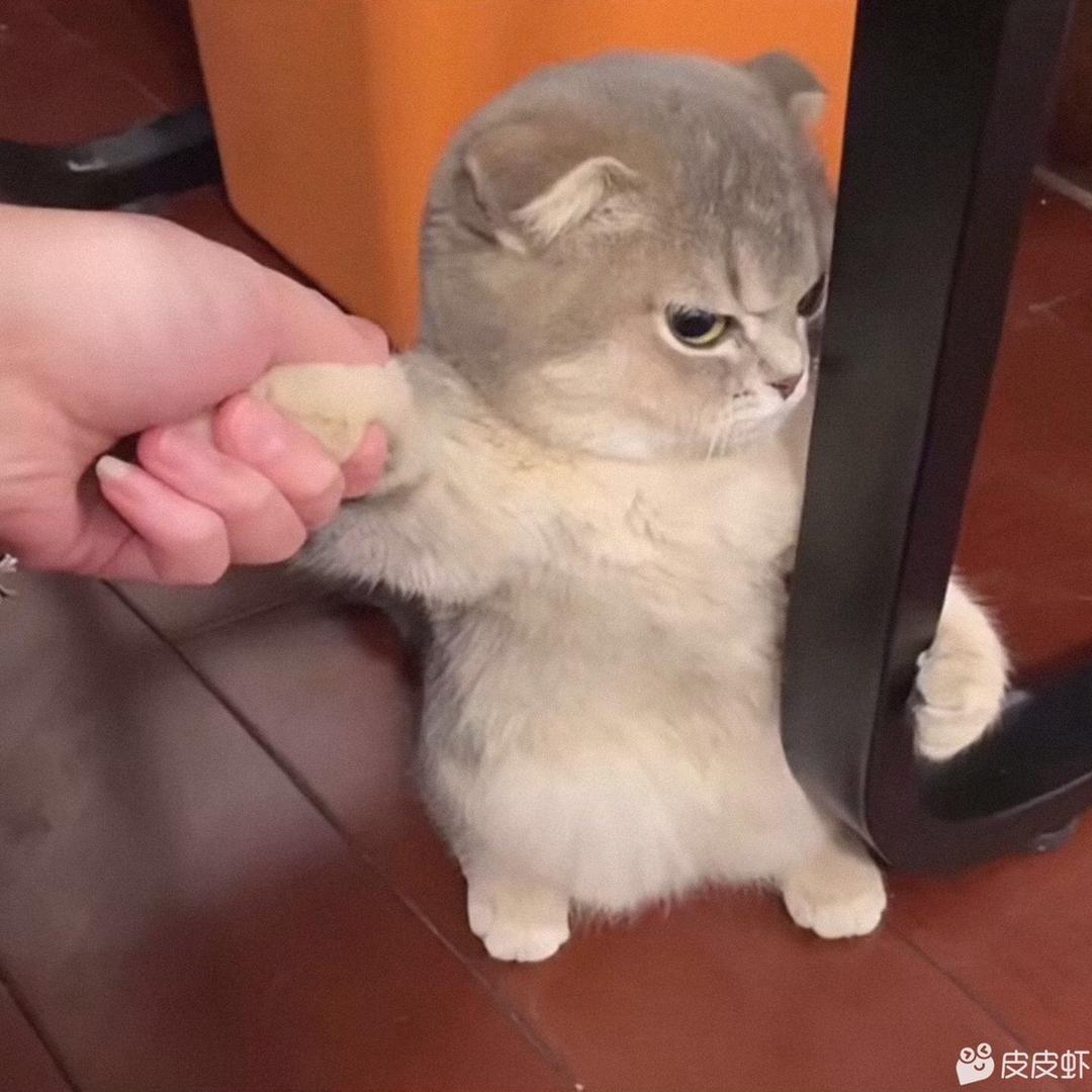 烟韵琼液