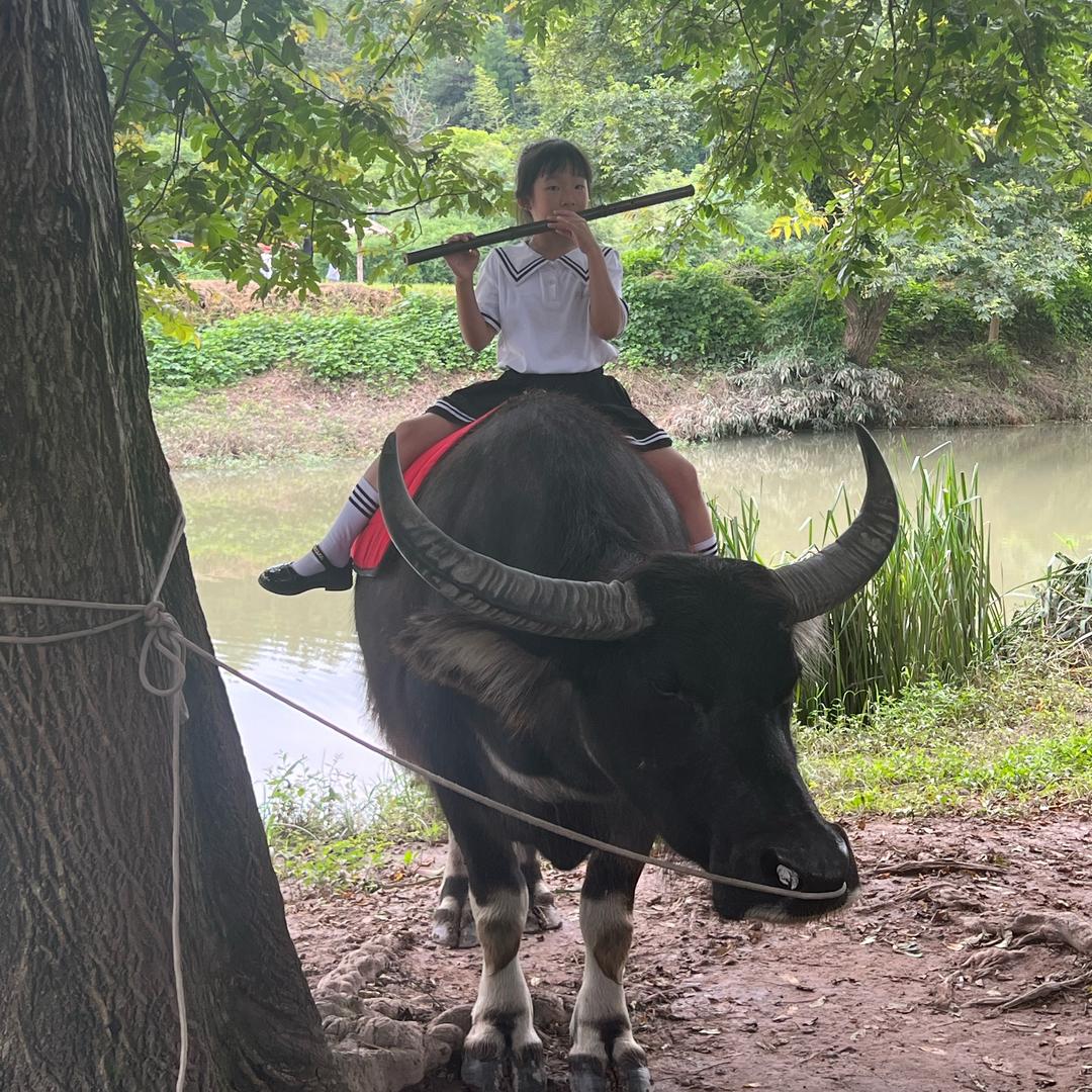 风清扬