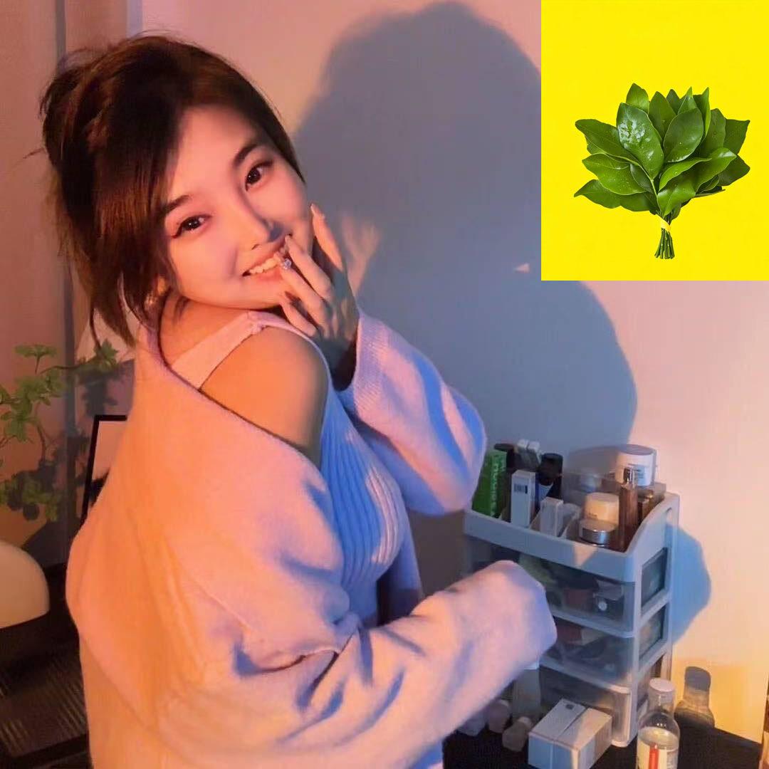 南栀的天下
