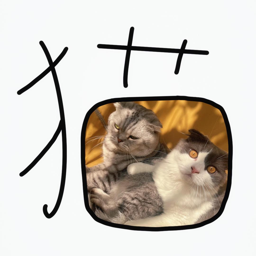 🌈可乐要加冰🧊
