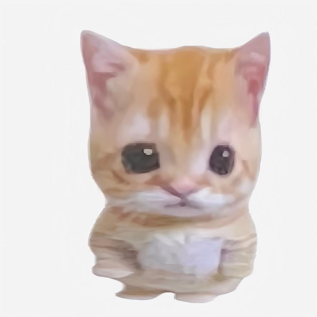 咪咪
