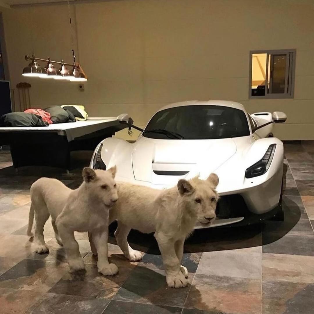 AAA武汉专业租车邹总