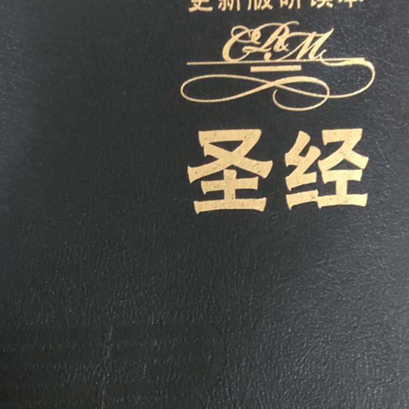 每天都是新的