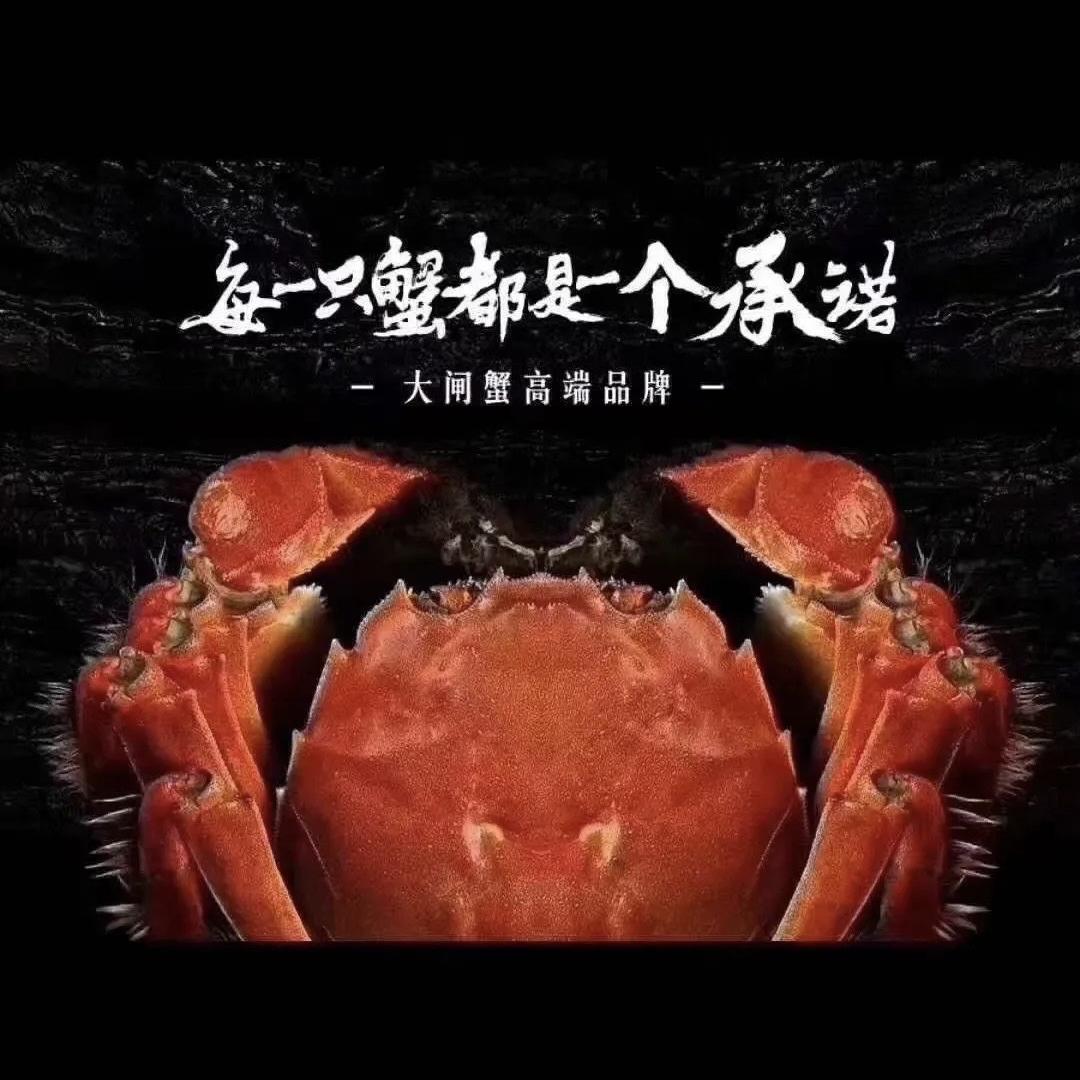 扬州蟹香里水产批发