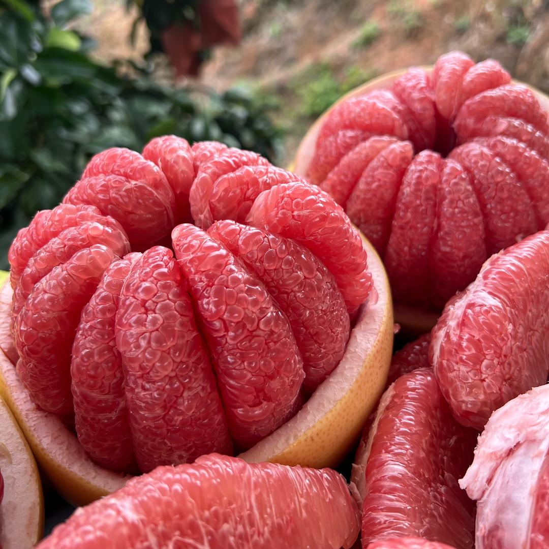 小杜鲜果