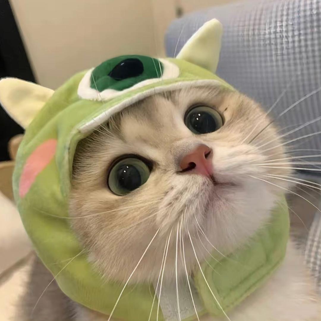 初八是个乖宝宝