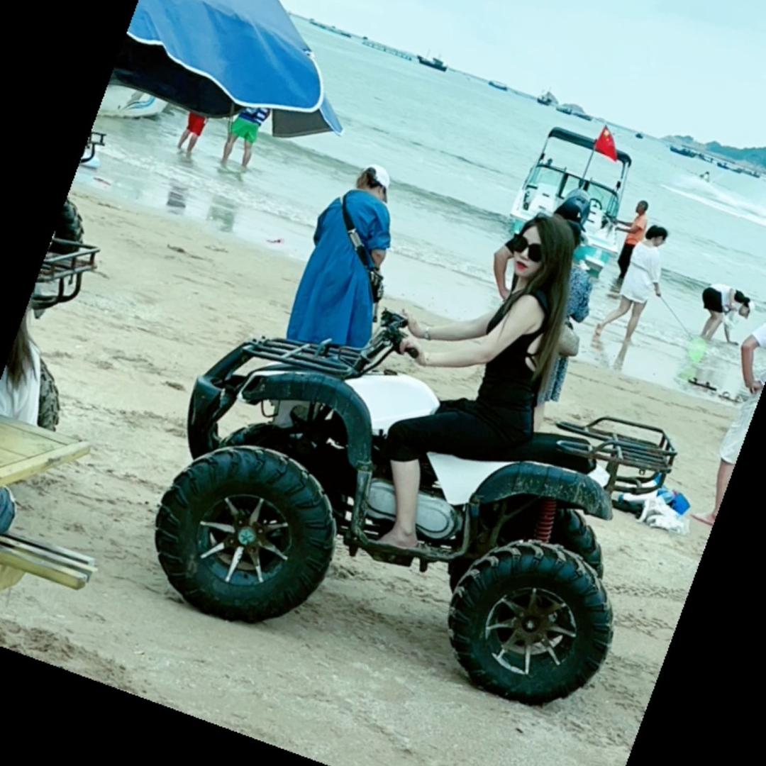 本小姐