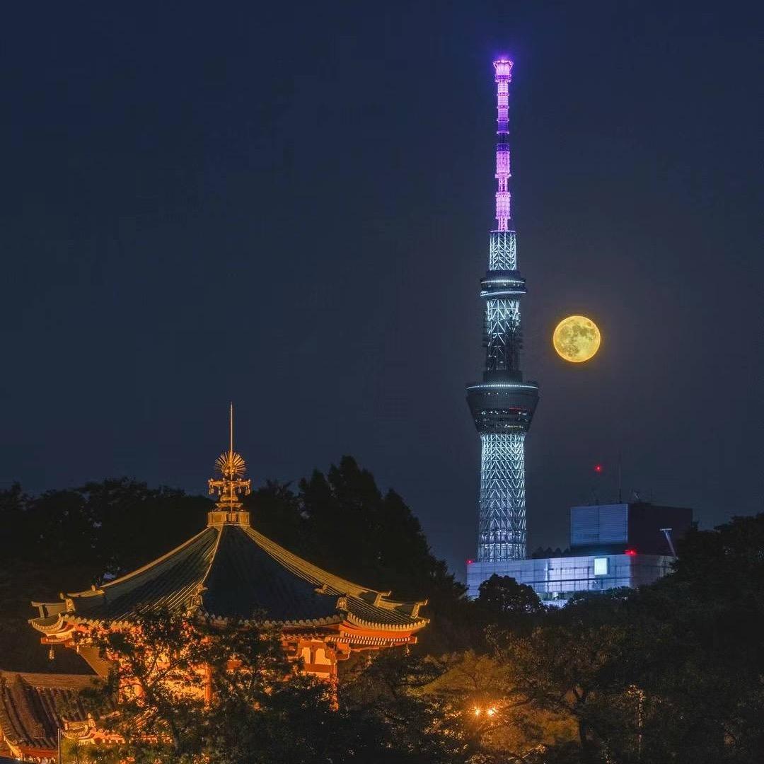 鲁G临朐小伙在日本