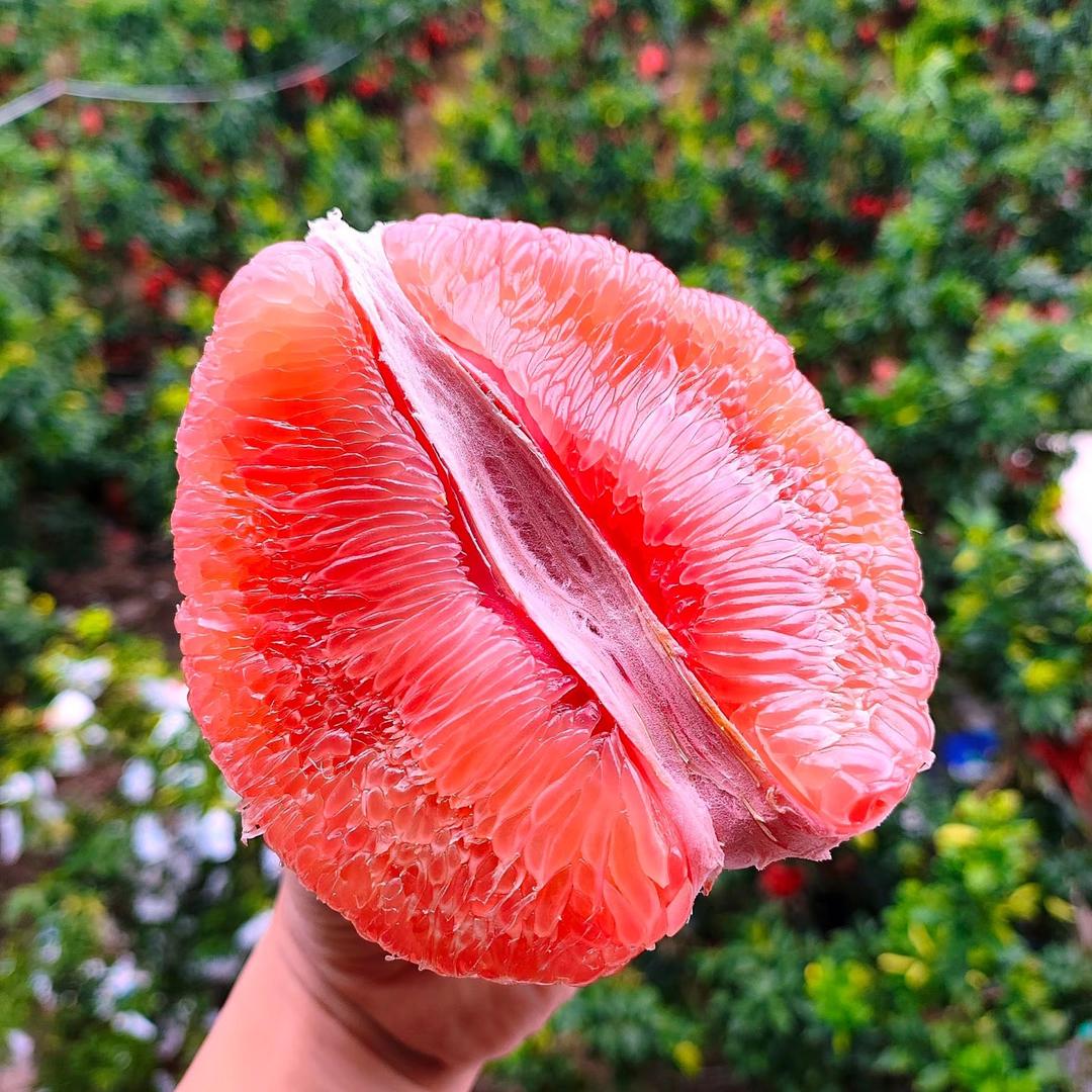 梁山好果