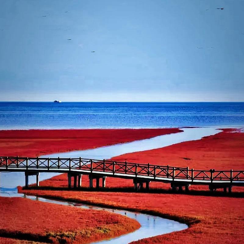 红海滩国家风景廊道