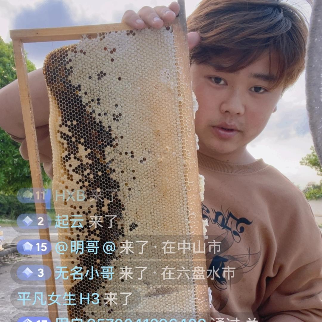 农村熊二养蜂